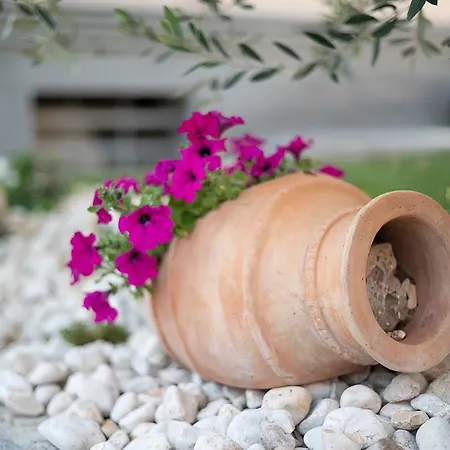 Apartamento La Casa Di Anna *