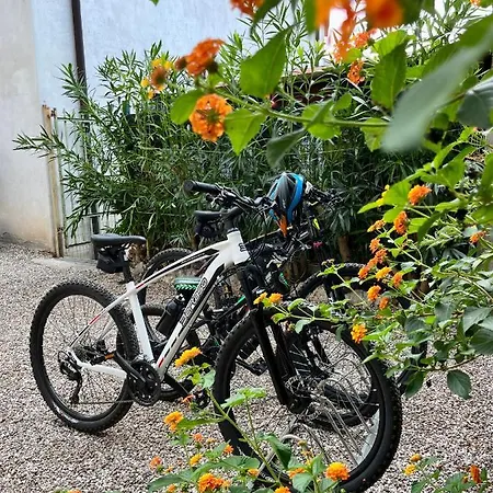 Apartmán La Casa Di Anna Domegliara